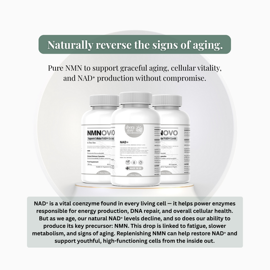 NMNOVO™ Advanced NMN 500mg | Clinically-Backed NAD+ Booster | 2X Absorption with Delayed-Release | 60 Capsules | Third-Party Verified Purity