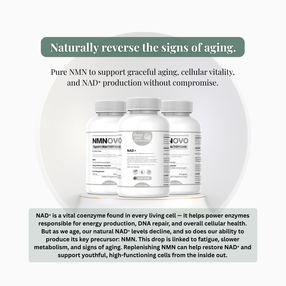 NMNOVO | NAD+ Booster by Ebora Store | Delayed-Release | 60 Capsules (2-Month Supply) | Clinically Researched NAD⁺ Support • Third-Party Tested • Pure Formula